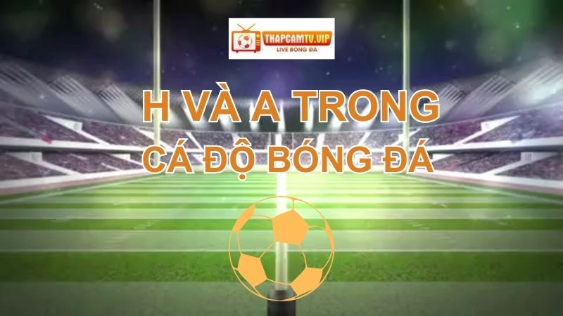H và A trong cá độ bóng đá Khám phá thông tin cơ bản
